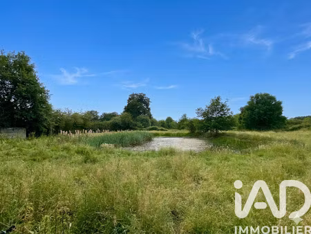 vente terrain à brée (53150) : à vendre / 4819m² brée