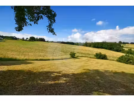 terrain avec vue dégagée sur les coteaux ? montalzat