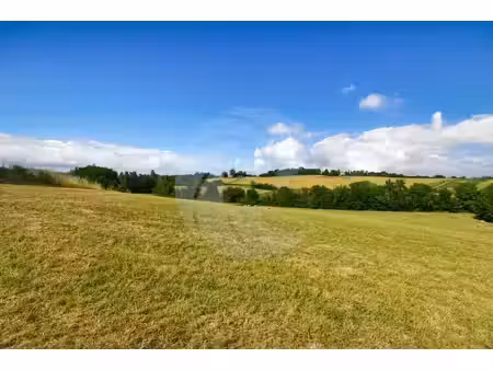 terrain avec vue dégagée sur les coteaux ? montalzat