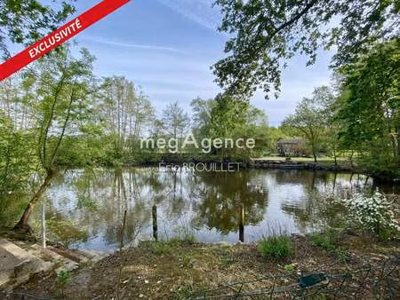 vente terrain à saint-georges-sur-loire (49170) : à vendre / 12047m² saint-georges-sur-loi