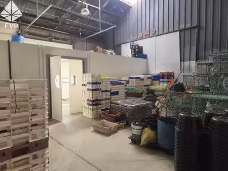 entrepôt d'environ 360 m2 avec bureaux  chambre froide positive et négative zone...
