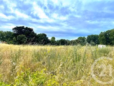 vente terrain à saint-hilaire-de-riez (85270) : à vendre / 1616m² saint-hilaire-de-riez