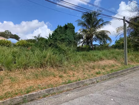 vente terrain 1077 m² rivière-salée (97215)
