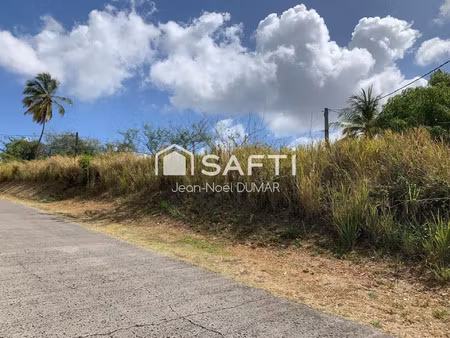 vente terrain 1175 m² rivière-salée (97215)
