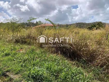 vente terrain 965 m² rivière-salée (97215)