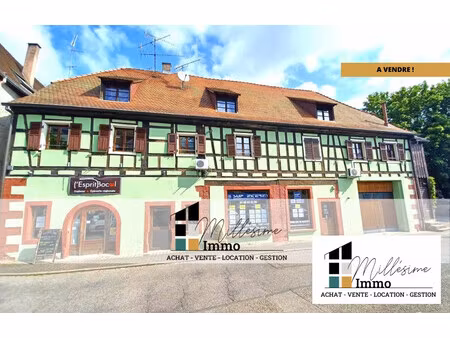vente immeuble