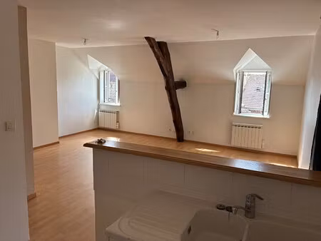bel appartement rénové 3 chambres coeur de ville