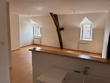 bel appartement rénové 3 chambres coeur de ville
