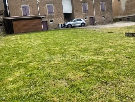 immeuble à vendre luxeuil les bains (70)