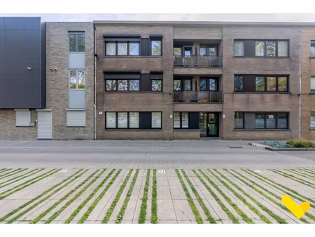 appartement te koop in tessenderlo-ham met 2 slaapkamers