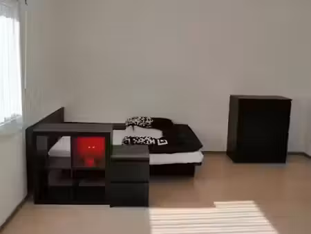 location appartement 1 pièce 30 m² à vandoeuvre-les-nancy (54500)  450 €