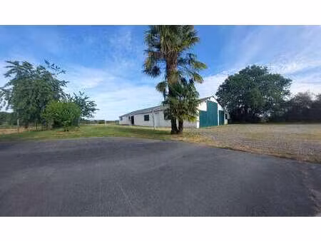 vente demeure d'exception à grand-auverné (44520) : à vendre / 120m² grand-auverné
