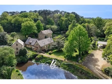 a vendre domaine d'exception avec moulin médiéval  gîte et maison de maître proche de la..