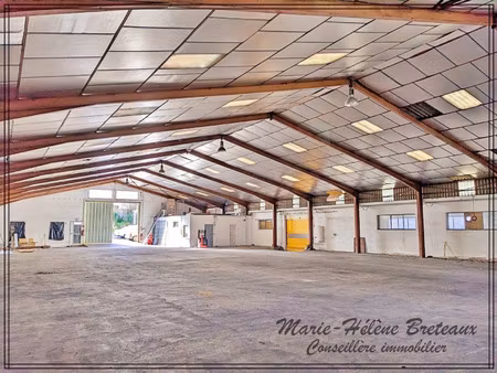 local professionnel à vendre barbaste 10 pièce(s) 1880m2 216 000€