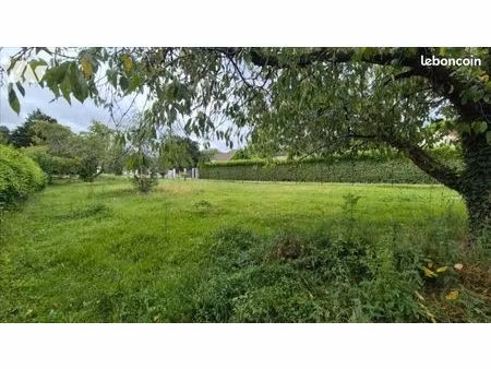 terrain 1443 m² montigny sur loing