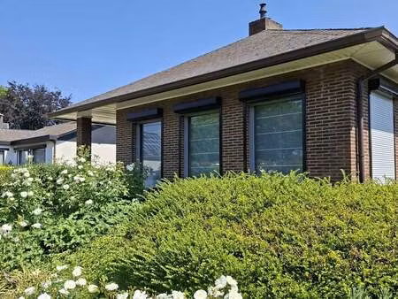 maison à vendre à mol € 425.000 (low80) - | zimmo