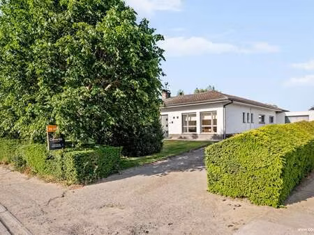 maison à vendre à moorslede € 375.000 (low5g) - bv vastgoed coventa | zimmo