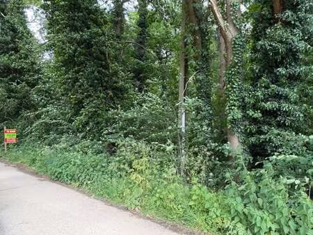 terrain à vendre à heist-op-den-berg € 63.000 (low8x) - vastgoed de cat | zimmo