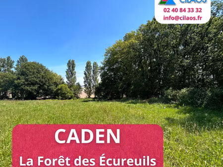 vente terrain à malansac (56220) : à vendre / malansac