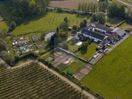 ferme brabançonne