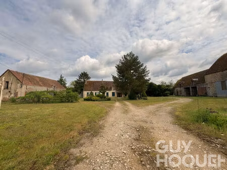 ancien château avec dépendances sur plus de 5 000 m² de terrain ? ouzouer-le-doyen