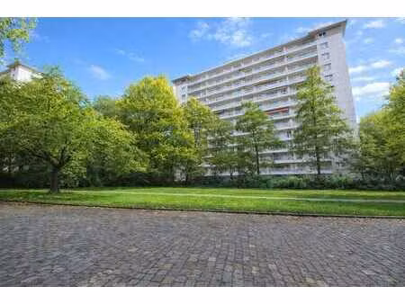 appartement - 2 chambres - terrasse