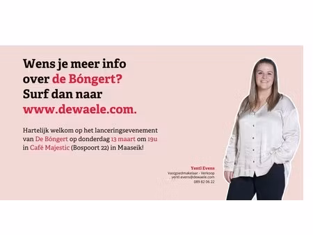 de bóngert