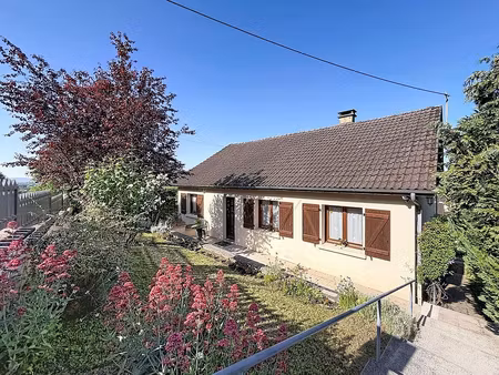 bar-sur-seine maison de plain-pied avec vue dégagé - 3 cha