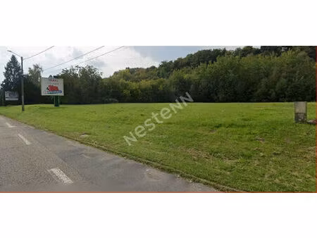 rare terrain commercial grosbliederstroff