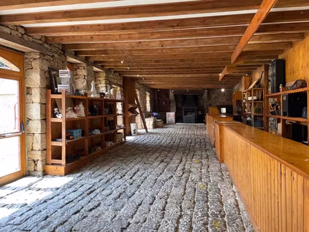 vente maison viager 890 m² le faouët (56320)