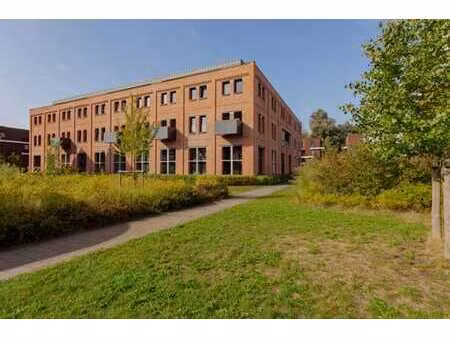 spacieux appartement en duplex avec 2 chambres et terrasse