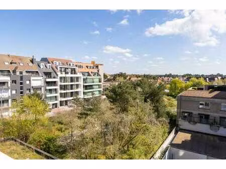 studio avec vue dégagée sur le ijzerpark à vendre à knokke