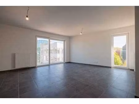 prenez de la hauteur au cœur de namur