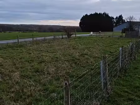 terrain à vendre - 333 m2 - louisfert - 44 - pays-de-loire