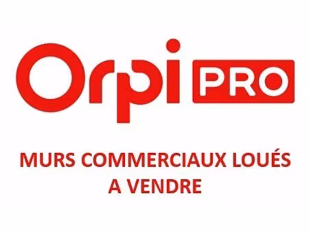 vente commerce la grande motte 34280 169m²
