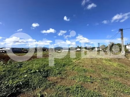 vente terrain sainte rose 97115 1596m²