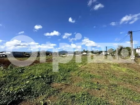 vente terrain sainte rose 97115 4507m²