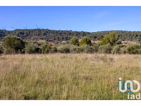 vente terrain 1194 m² mailhac (11120)
