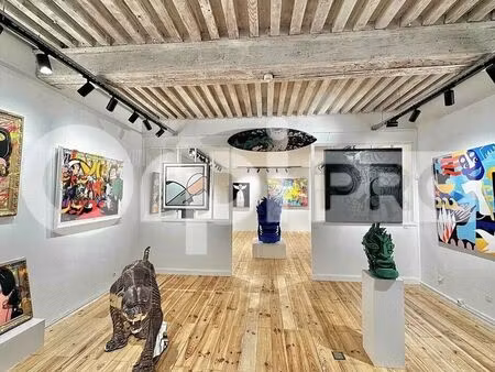 location commerce lyon 69002 126m²