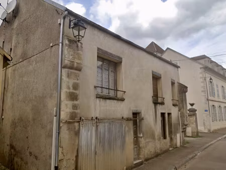 rare l'isle-sur-serein maison hangar et terrain.