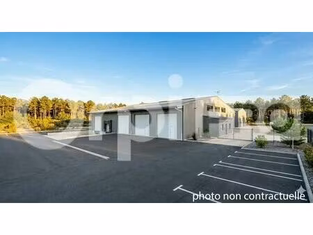 location entrepôt saint vincent de tyrosse 40230 310m²