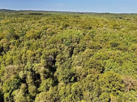 terrain à vendre à beauraing € 1.150.000 (lowcx) - comptoir foncier | zimmo