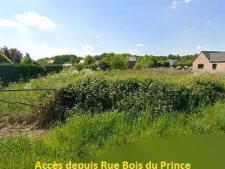 terrains à vendre - hautrage