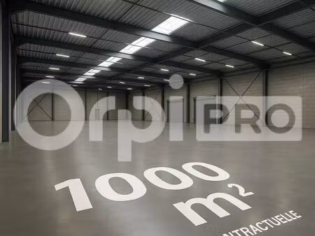 location commerce domerat 03410 1000m²