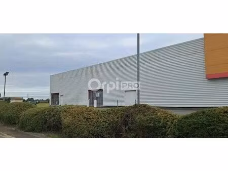location commerce lescar 64230 370m²
