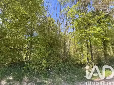 vente terrain 2692 m² à domme (24250)  18 000 €