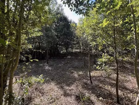 vente terrain à batir 3210 m² à prémian (34390)  11 000 €