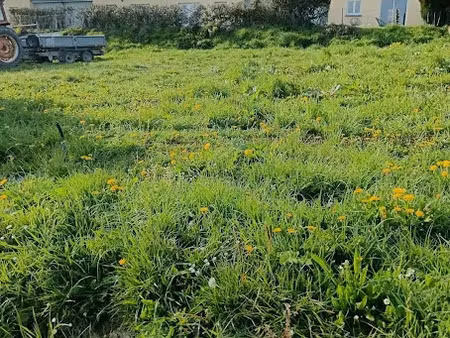 vente terrain 465 m² à saint-germain-d'elle (50810)  40 712 €
