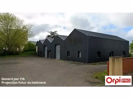 location local d’activités saint symphorien d ozon 69360 150m²