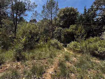 vente terrain 10196 m² à les arcs (83460)  24 000 €